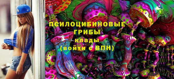 синтетический гашиш Алексин