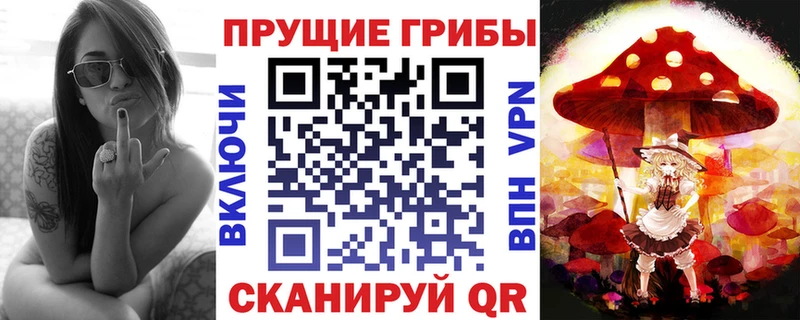 Псилоцибиновые грибы Psilocybe  наркошоп  Удачный 