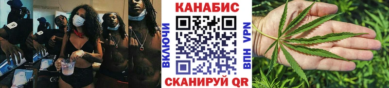 Марихуана гибрид  цена   Удачный 